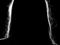 Life is all around&nbsp;you!